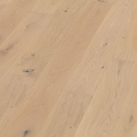 Oak No 25 - Brighton